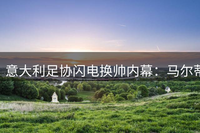 意大利足协闪电换帅内幕：马尔蒂尼16天离职 补锅匠拉涅利临危受命