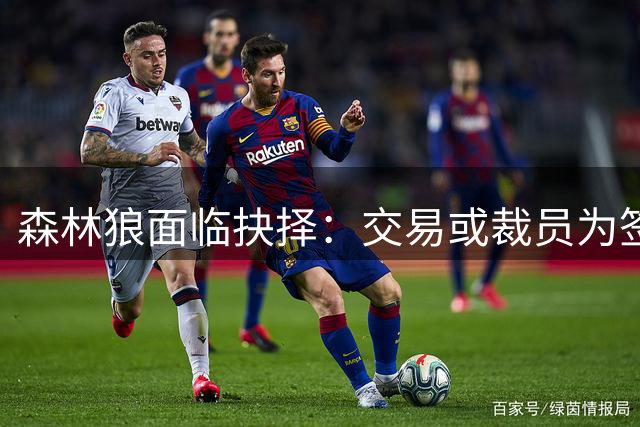 森林狼面临抉择：交易或裁员为签库明加腾薪资空间