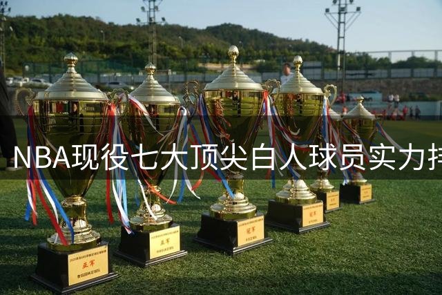 NBA现役七大顶尖白人球员实力排行